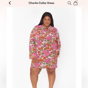 Show Me Your Mumu Dress